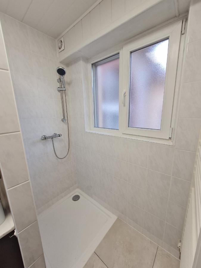 Les Chouchous Du Ried 1 Daire Saasenheim Dış mekan fotoğraf